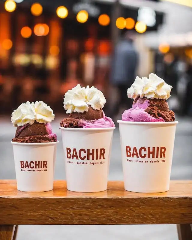 パリのレバノンアイスクリーム、バシール Bachirの3つの大きさのアイスクリーム
